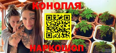 PSILOCYBIN Малоярославец