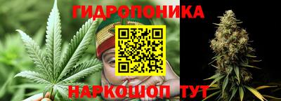 гашик Моздок