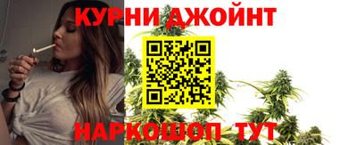 гашик Моздок