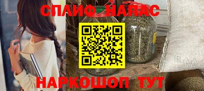гашик Моздок