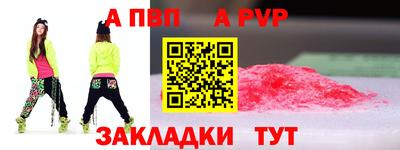 гашик Моздок