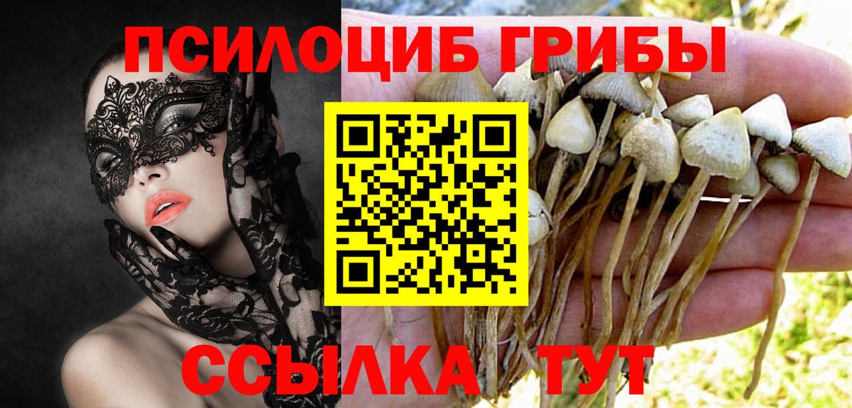 Галлюциногенные грибы мухоморы Алапаевск