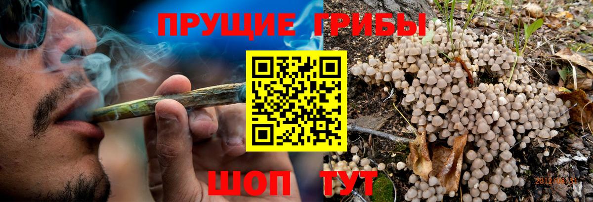 Галлюциногенные грибы MAGIC MUSHROOMS  Галлюциногенные грибы прущие грибы  Вход с VPN  дарнет шоп  Алапаевск 